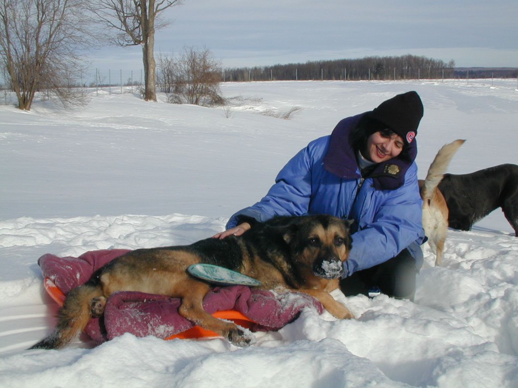Aileen W. Donovan and Shane