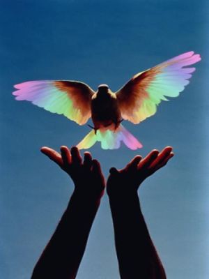 Let Go and Allow - Bird taking off out of hands