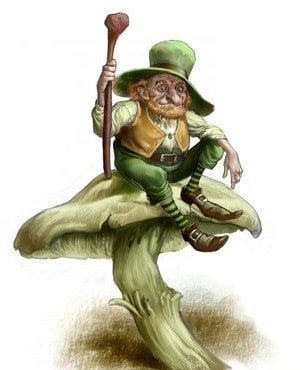 The Craic - Leprechaun sitting on a mushroom