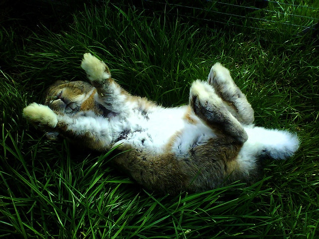 rest-relax-rejuvenate